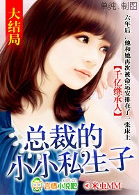 千亿继承人：总裁的小小私生子（结局）