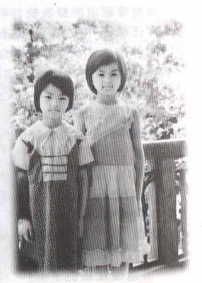 曝李湘王岳伦协议离婚 第三者竟是李湘亲妹妹(图)