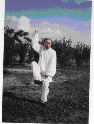 张松溪传人陈太平先生