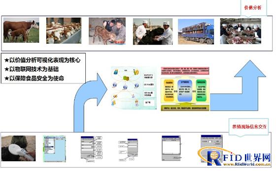 RFID动物溯源管理系统成功案例